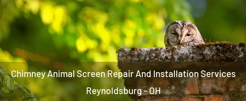  Chimney Animal Screen Repair And Installation Services Reynoldsburg - OH