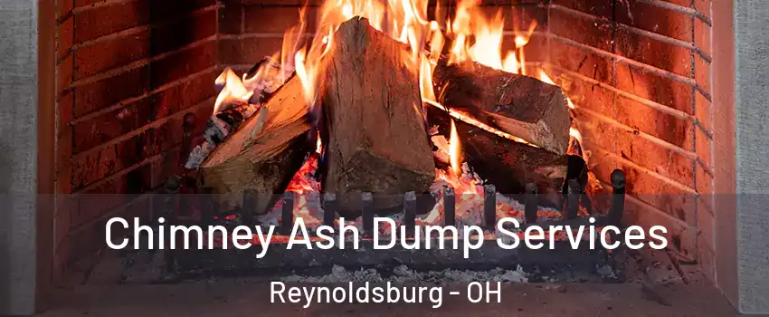  Chimney Ash Dump Services Reynoldsburg - OH