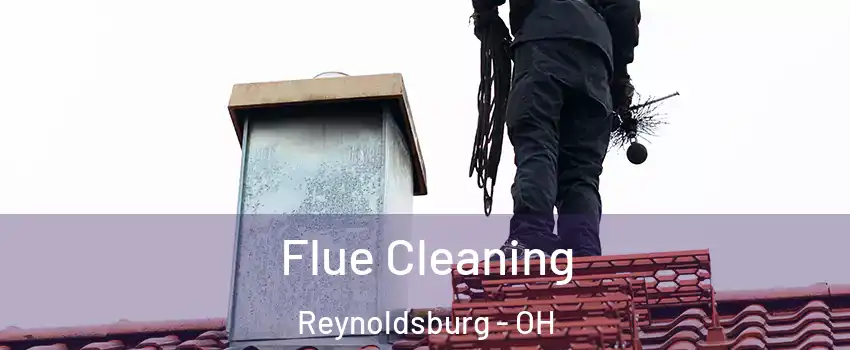  Flue Cleaning Reynoldsburg - OH