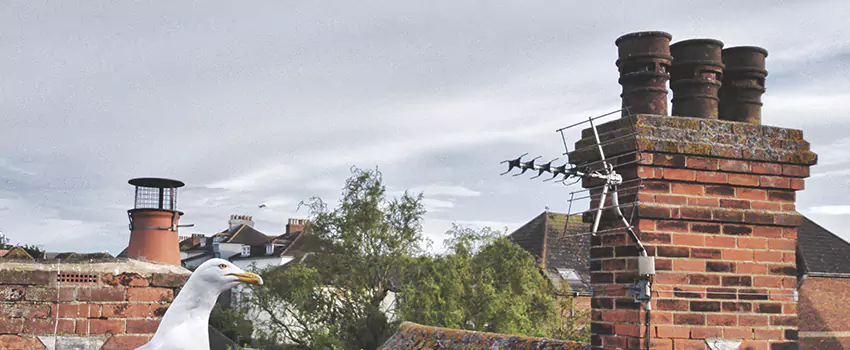 Chimney Cleaning And Restoration in Reynoldsburg, Ohio