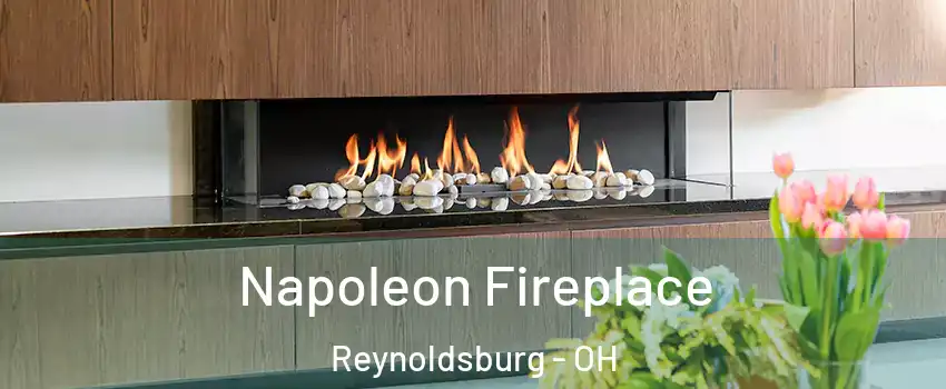  Napoleon Fireplace Reynoldsburg - OH